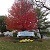 Barrington Square Clubhouse